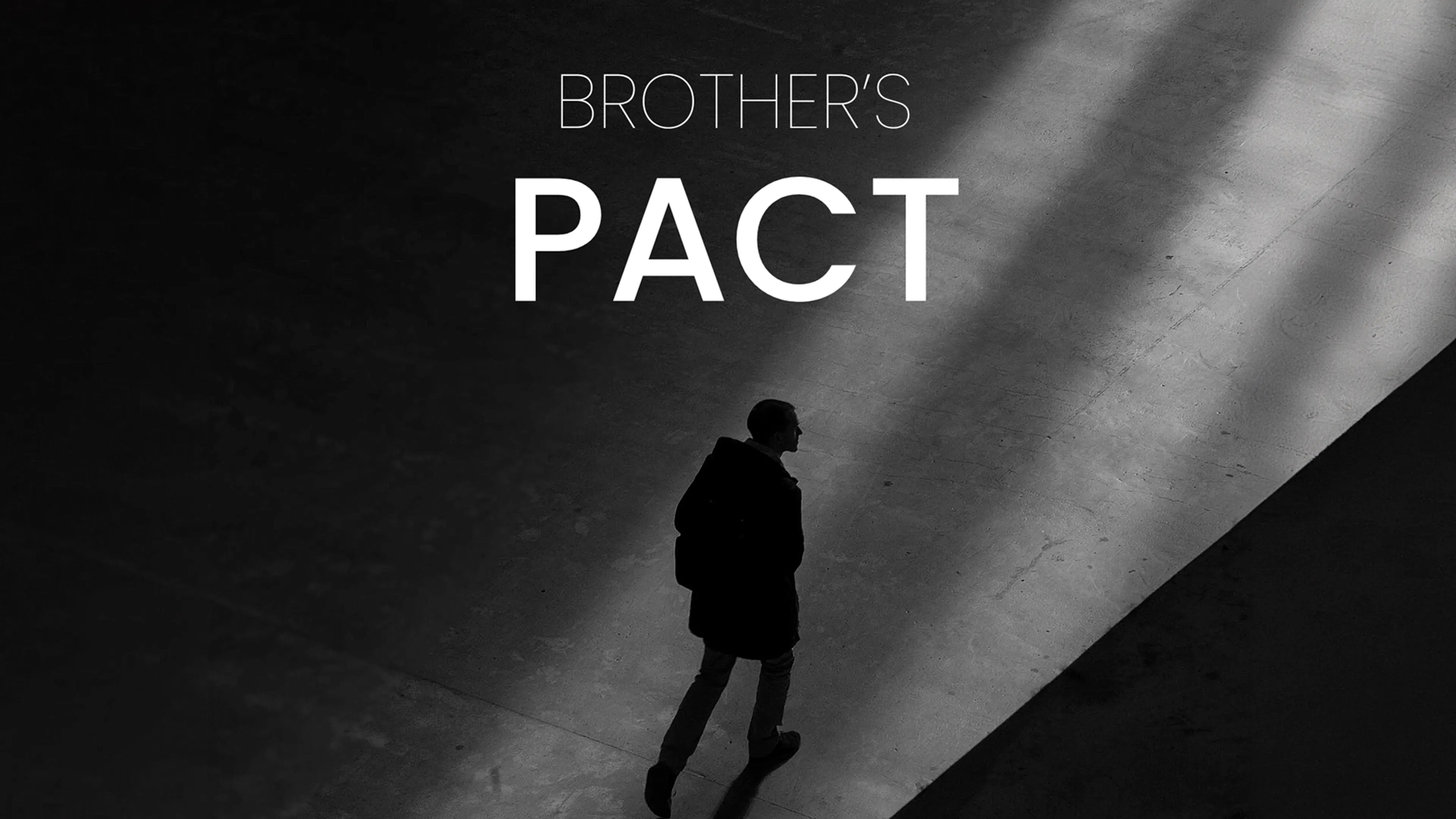 Brother's Pact poster